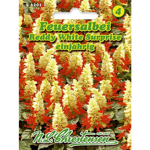 1 pac, Salvie decorativă Reddy White Surprise - Semințe: Mod de ambalare: 1 pac