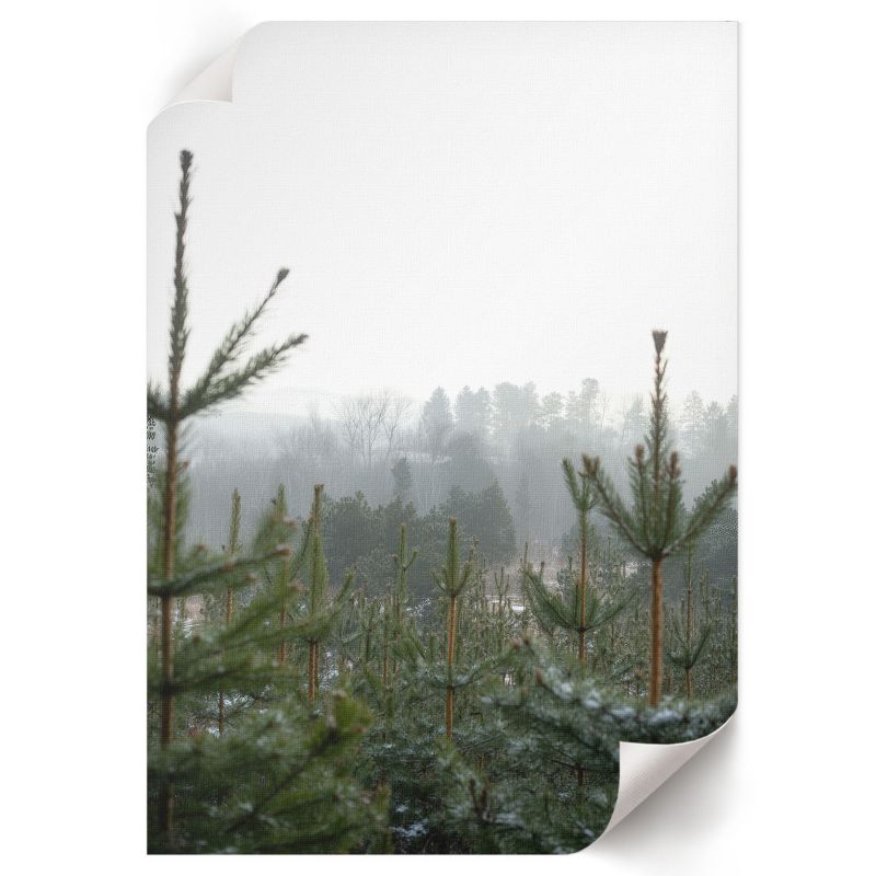 Plakat Do Pokoju Dziecka ArtPrintCave 59,5x84 cm Zielone iglaki digitalPhoto 1 szt.