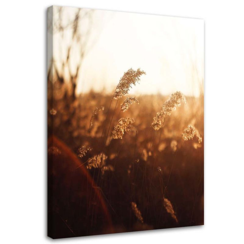 Obraz Feeby Łąka w słońcu 60x90cm 1szt