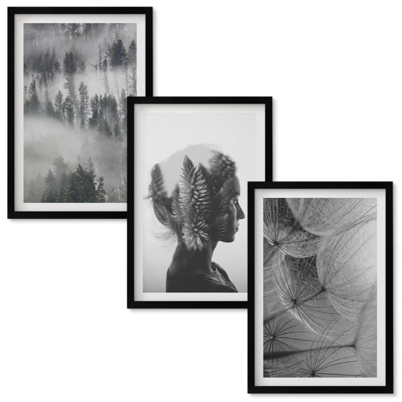 Zestaw obrazów Wallfluent Las mgła portret drzewa dmuchawiec Czarna rama 40x60 cm 3 szt.
