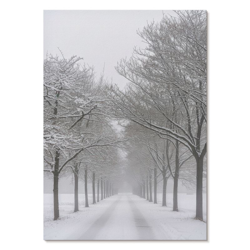 Plakat na Płótnie Tulup 59,4,x84 cm (A1) Śnieżna aleja Do salonu, biura, sypialni 1 szt.