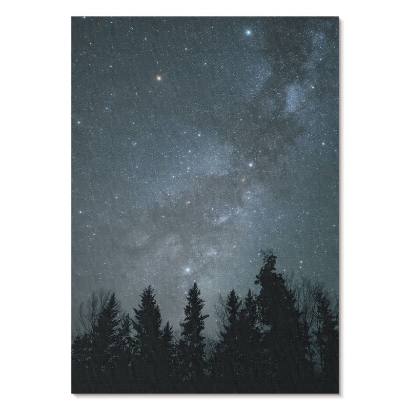 Plakat na Płótnie Tulup 29,7x42 cm (A3) Gwiezdna noc Do sypialni, salonu, biura 1 szt.