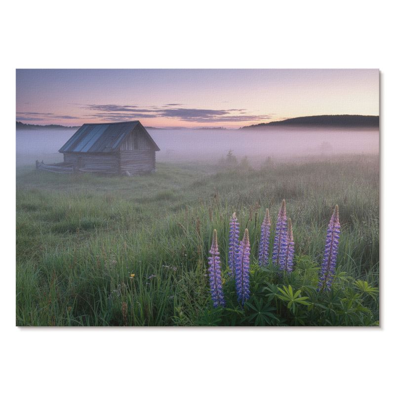 Plakat na Płótnie Tulup 59,4x42 cm (A2) Mgielny poranek Do salonu, sypialni, biura 1 szt.