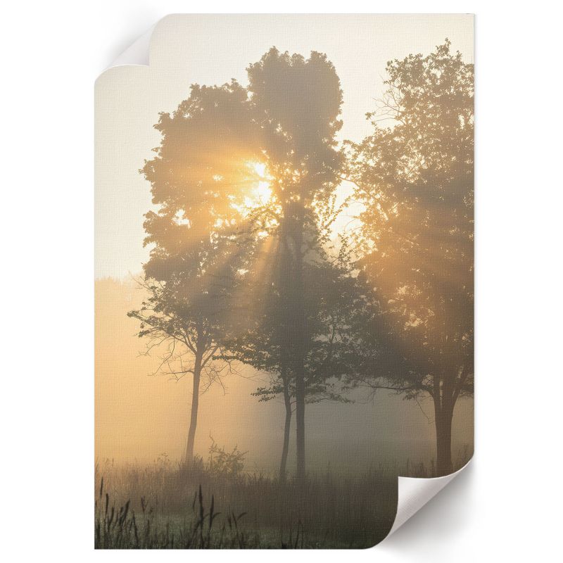 Plakat ArtPrintCave 42x59,5 cm Leśny świt Nitrozine 1 szt.