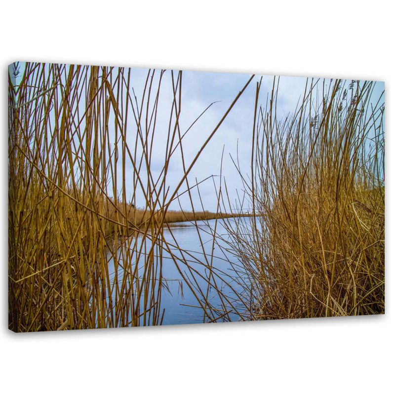 Obraz na płótnie Feeby Jezioro natura pejzaż trzciny 45x30cm 1szt