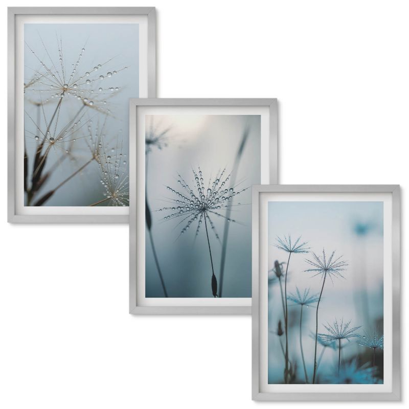 Obrazy Do Sypialni Wallfluent Dmuchawce z kroplami wody Srebrna rama 40x60 cm 3 szt.