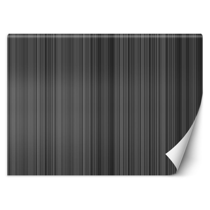 Fototapeta Feeby Linie pasy abstrakcja 250x175 1 szt