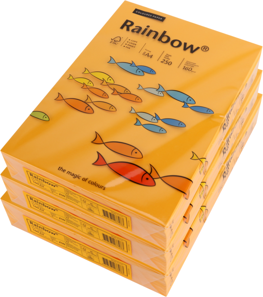 3x Papier kolorowy Rainbow, A4, 160g/m2, 250 arkuszy, pomarańczowy jasny (R22)