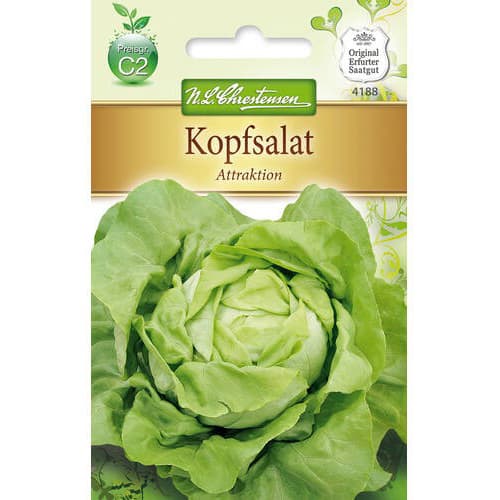 1 pac, Salată verde Attraktion - Semințe: Mod de ambalare: 1 pac