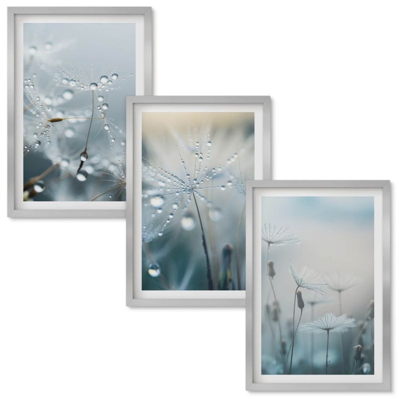 Obrazy do Salonu Wallfluent Krople rosy na dmuchawcach Srebrna rama 40x60 cm 3 szt.