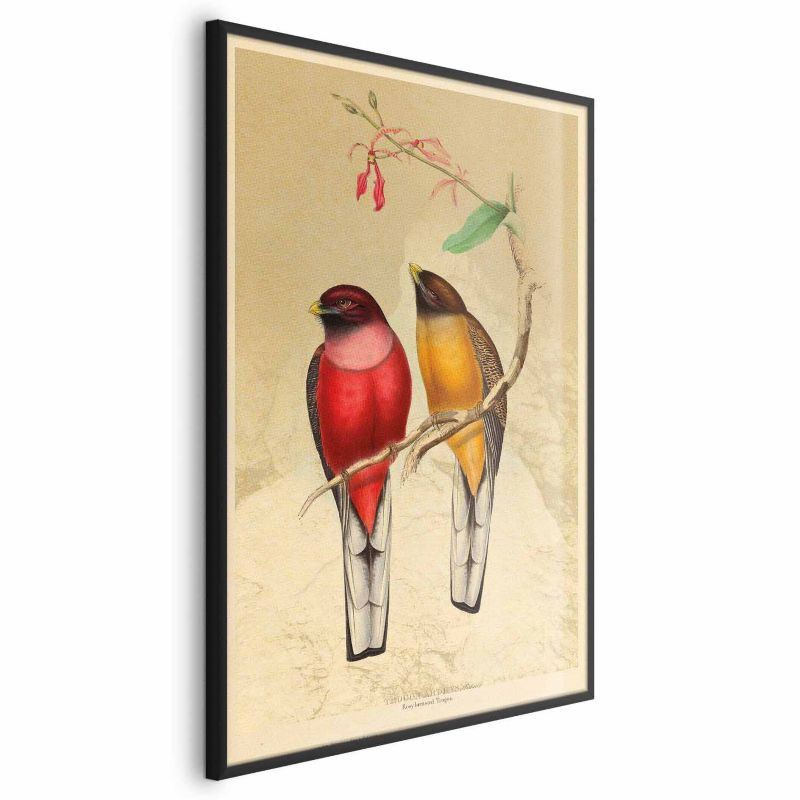 Plakat Artgeist Ptaki na gałązce 60x90 cm z ramą czarną 1 szt