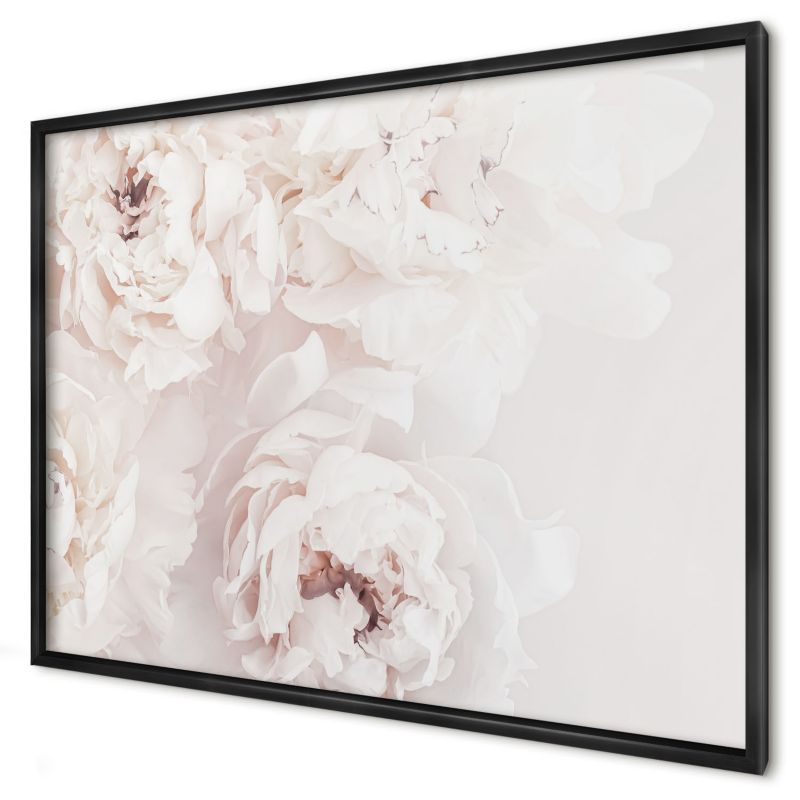 Ozdobna tablica magnetyczna Wallfluent 100x70 Białe peonie w czarnej ramie 1szt