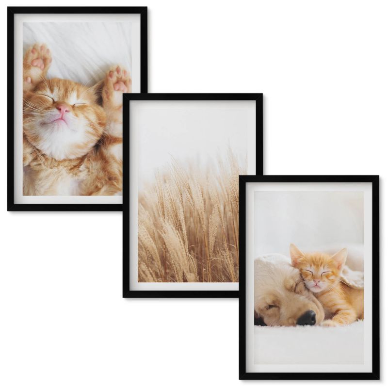 Obraz Ścienny Zestaw Wallfluent Słodkie zwierzaki koty psy boho Czarna rama 40x60 cm 3 szt.
