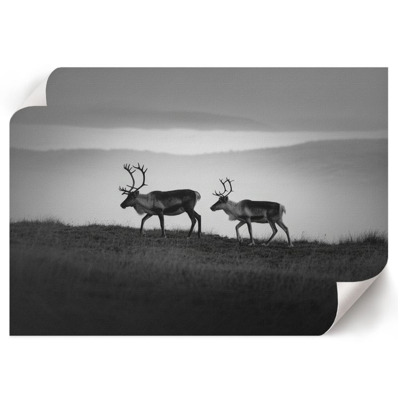 Plakat Do Kuchni ArtPrintCave 84x59,5 cm Renifery natura SoliN 1 szt.