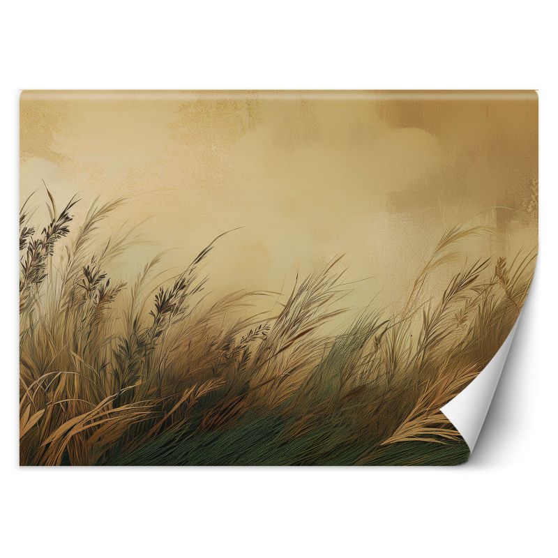 Fototapeta Feeby Łąka Trawa Natura 100x70 1 szt