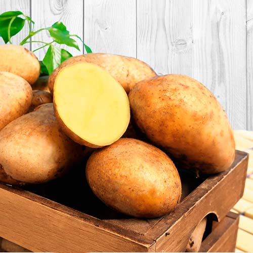 3 kg, Sadzeniaki ziemniaków Erika - : Ilość w opakowaniu: 3 kg