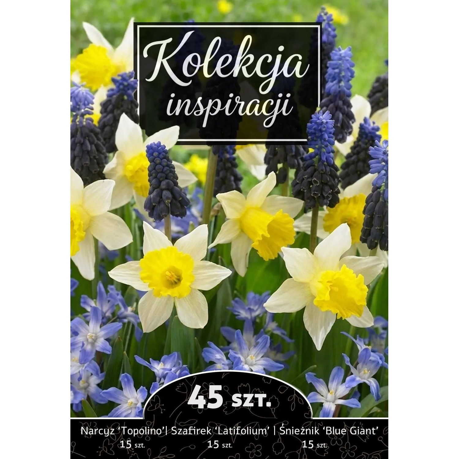 Cebule jesienne Kolekcja Inspiracji 9 - 45 szt.