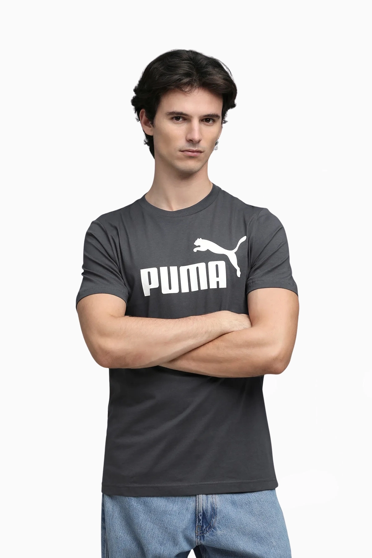Koszulka Puma Essentials Logo No.1 Logo Tee - Szary