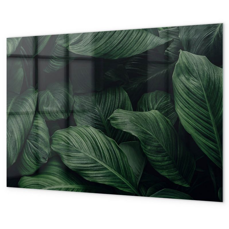 Tablica Magnetyczna Na Ścianę Tulup 100x70 cm Tropikalna monstera Ozdobna, nowoczesna 1 kpl