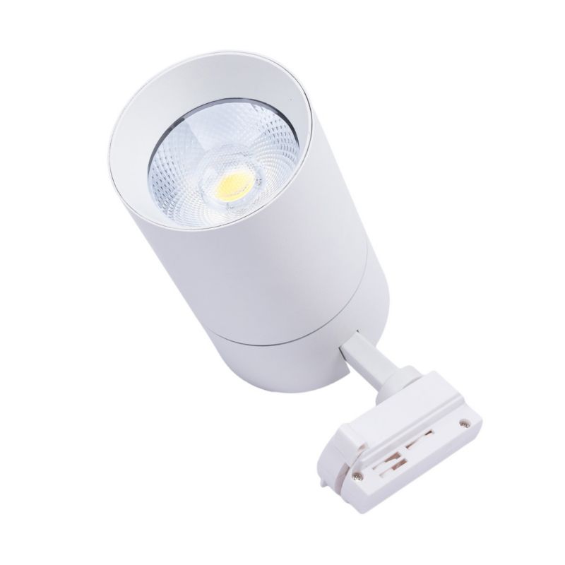Reflektor LED 1-fazowy Blaupunkt Vision 30W biały CCT z przełącznikiem barwy światła 1 szt.