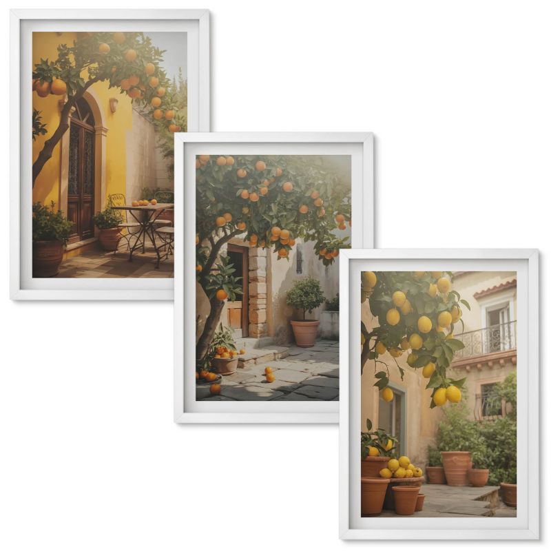 Obraz Ścienny Zestaw Wallfluent Słoneczne patio cytrusy doniczki Biała rama 40x60 cm 3 szt.