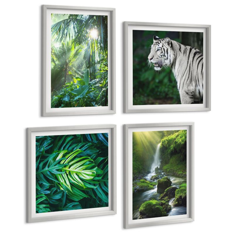 Galeria 4 Obrazów ArtPrintCave (2x50x50+2x40x60cm) Srebrna rama Dżungla biały tygrys wodospad 1 kpl.