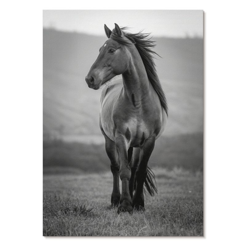 Obraz Plakat Canvas Tulup 21x29,7 cm (A4) Dostojny koń Do salonu, biura, sypialni 1 szt.