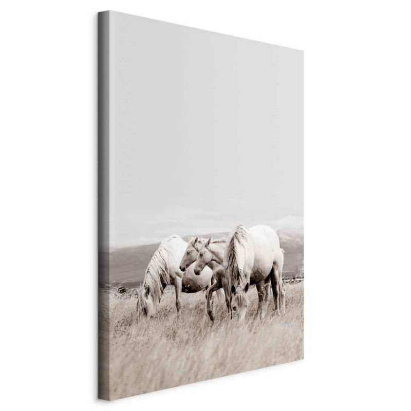 Obraz Artgeist Białe konie 40 x 60 cm płótno włoskie 1 szt