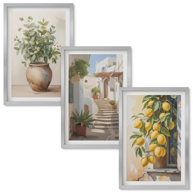 Zestaw obrazów Wallfluent Rośliny donice cytryny uliczka Srebrna rama 40x60 cm 3 szt.