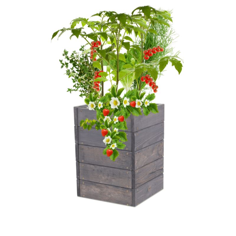 Warzywniak drewniany MODO24 grządka szara impregnacja 45x33x30 cm 1 szt.