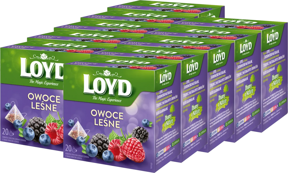 10x Herbata owocowa w piramidkach Loyd, owoce leśne, 20 sztuk x 2g