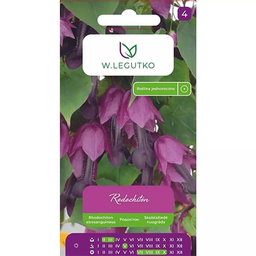 6 kus, Rhodochiton fialový - : Monžstvo balíkov: 6 kus