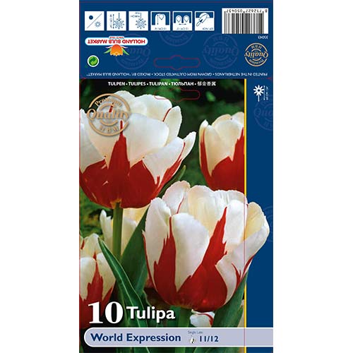 10 cib, Tulipán World Expression - : Monžstvo balíkov: 10 cib