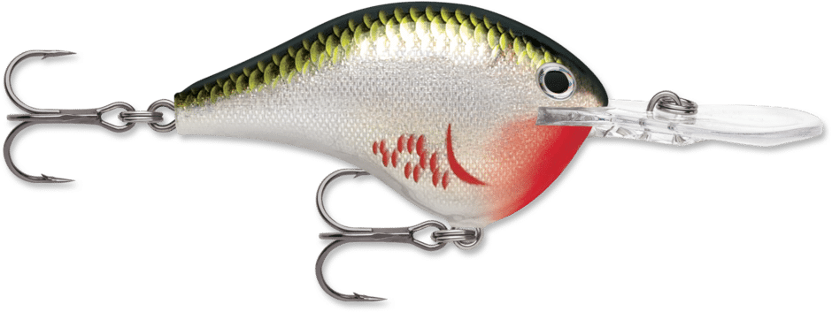 Rapala Wobler DT 16 Pływający 7cm #BOS