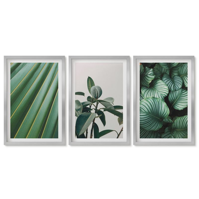 Tryptyk w srebrnej ramie Tulup 40x60 cm Estetyczne liście tropikalne Obrazy do kuchni w ramie 1 kpl