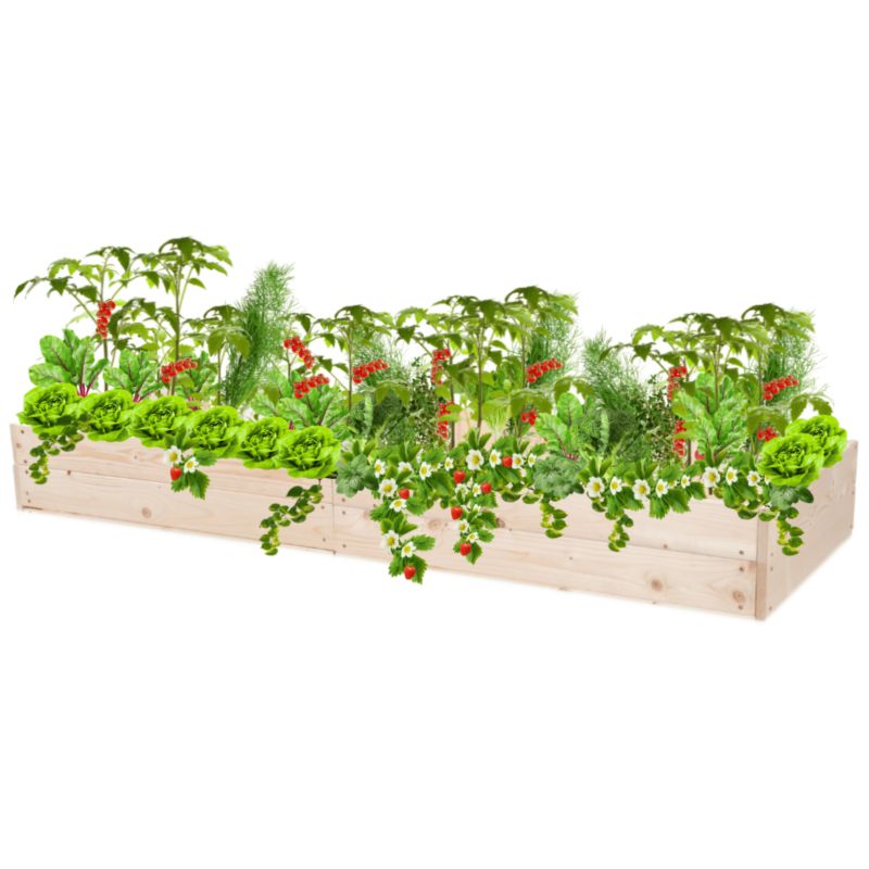 Skrzynia na warzywa MODO24 warzywnik naturalne drewno 18x163x80 cm 1 szt.