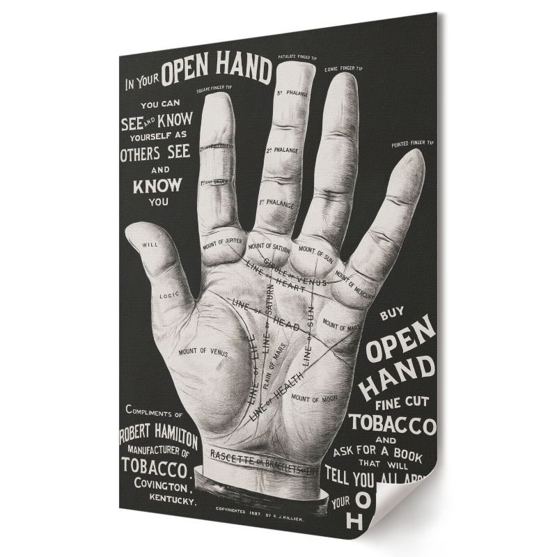 Plakat canvas Wallfluent Format A2 Otwarta dłoń Anonim anonim 1 szt.
