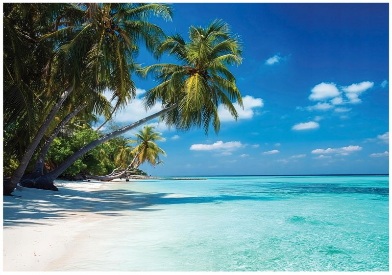 Fototapeta WALLARENA Do Sypialni Salonu Na Flizelinie Plaża Palmy Krajobraz 300x210 cm Tapeta Ścienna 1 szt.