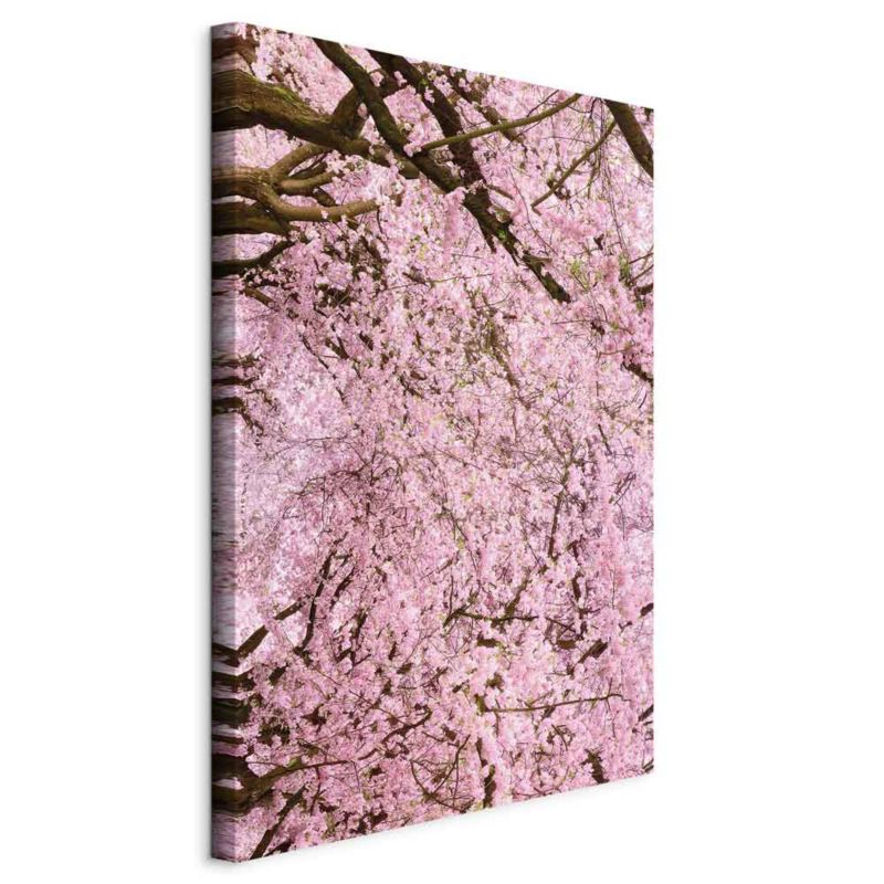 Obraz Artgeist Drzewo wiśni 40 x 60 cm płótno włoskie 1 szt