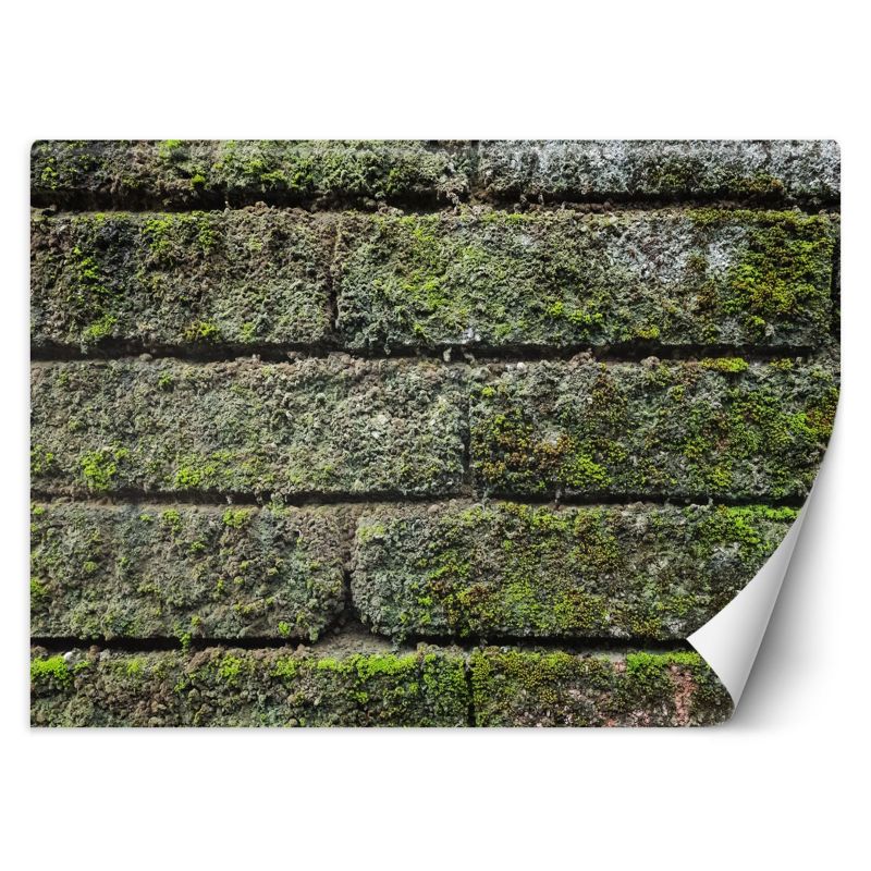 Fototapeta Feeby Mur cegła mech 250x175 1 szt