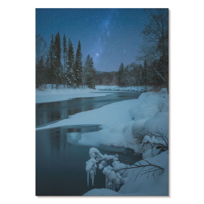 Nowoczesny Plakat na Płótnie Tulup 42x59,4 cm (A2) Zimowa noc Do salonu, sypialni, 1 szt.