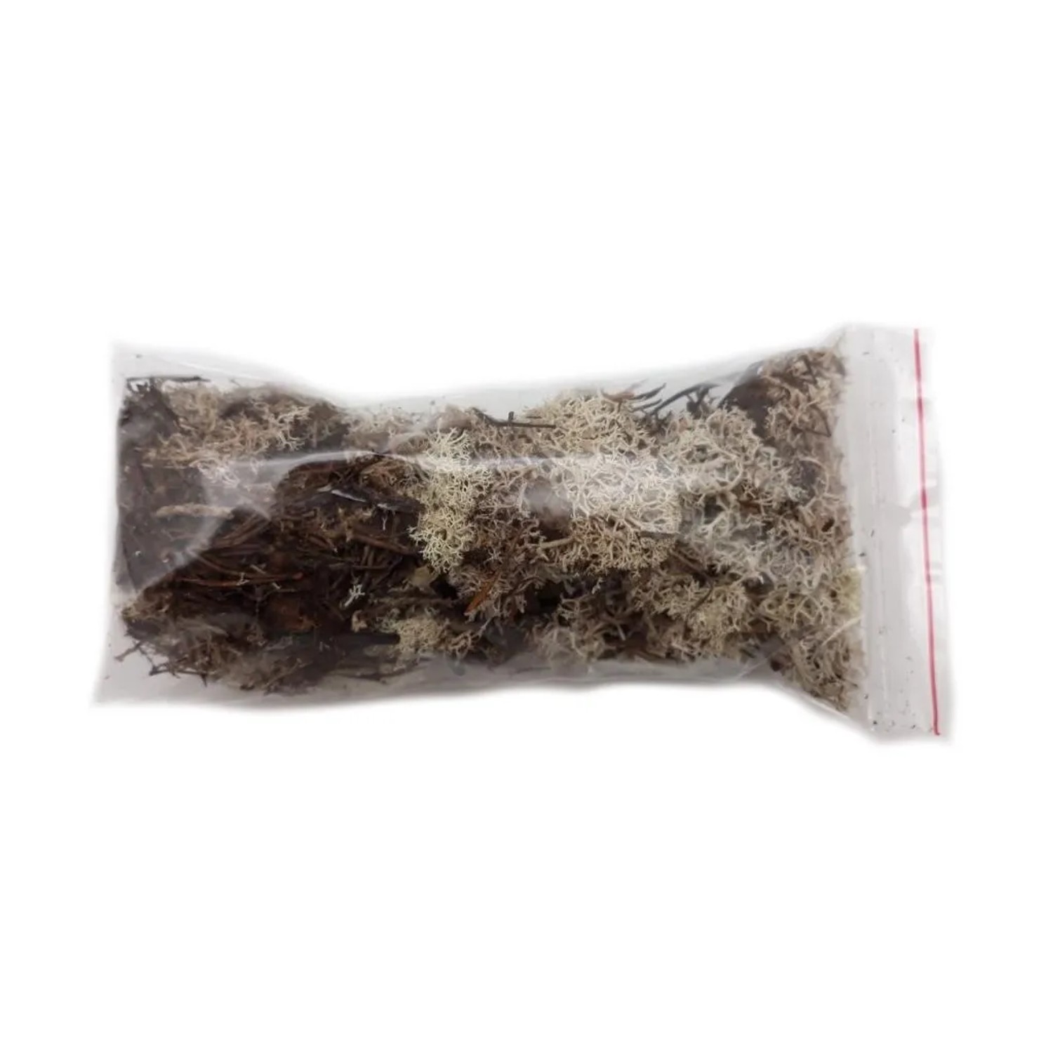 Chrobotek mech reniferowy naturalny 40g