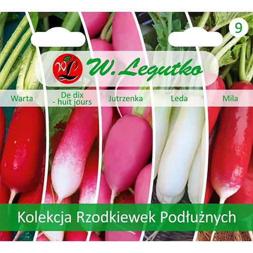 1 kus, Kolekce podlouhlých ředkviček, 5 odrůd - : Monžstvo balíkov: 1 kus