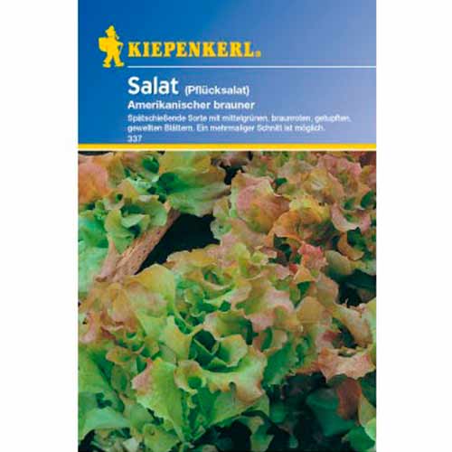 1 ob, Salát listový Frisée d'Amérique - : Monžstvo balíkov: 1 ob
