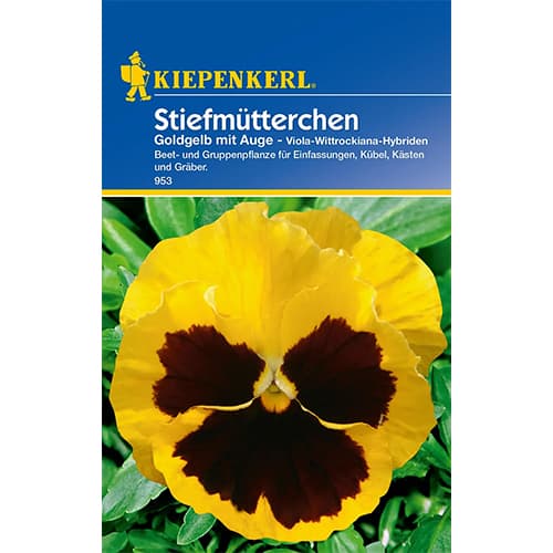 1 szt, Stiefmütterchen Goldgelb mit Auge Kiepenkerl - Samen: Ilość w opakowaniu: 1 Stück