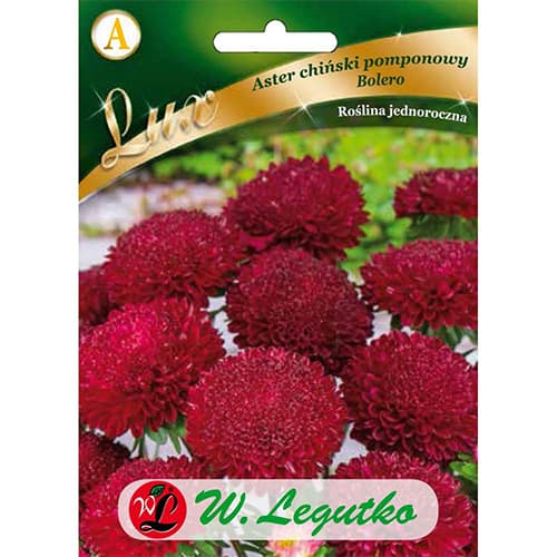 1 szt, Pomponaster Bolero rot - Samen: Ilość w opakowaniu: 0.5 g