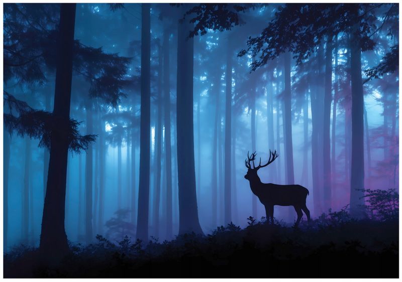Fototapeta WALLARENA Do Sypialni Salonu Na Flizelinie Las Natura Jeleń Niebieski 350x250 cm 16457VX7 1 szt.