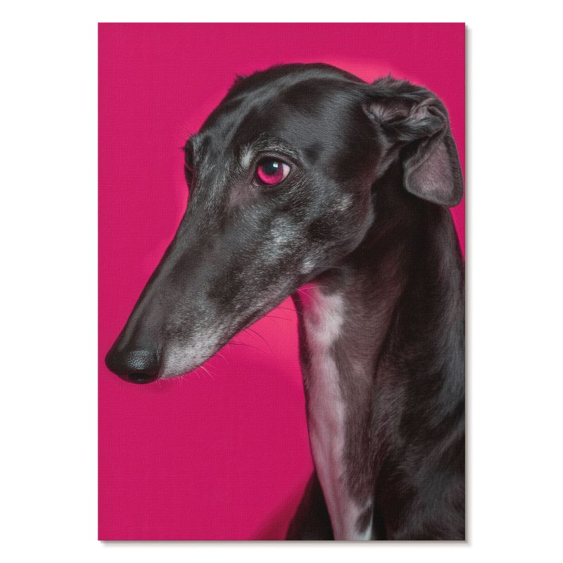 Plakat na Ścianę Tulup 42x59,4 cm (A2) Pies portret Do salonu, biura, sypialni 1 szt.