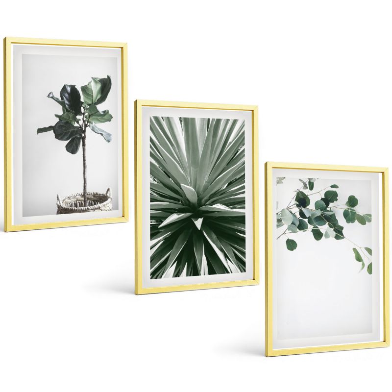 Trzyczęściowy Zestaw Obrazów ArtPrintCave 40x60 cm Złota rama Zielone rośliny minimalizm 1 kpl.