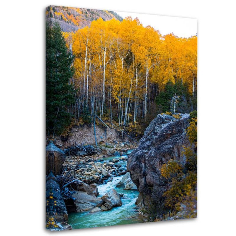 Obraz Feeby Strumień górski skały las drzewa natura 80x120cm 1szt